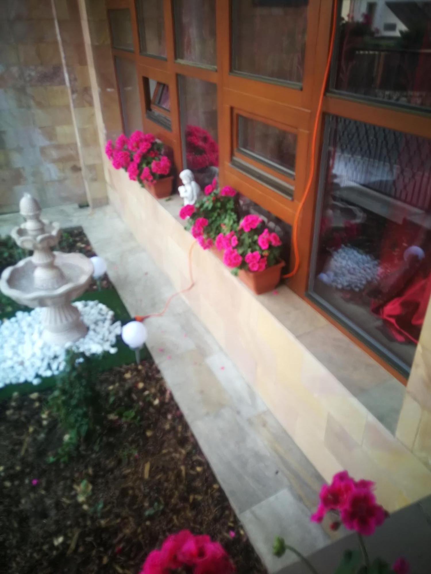 Vila Barrandovska Patro 2 Praga Zewnętrze zdjęcie